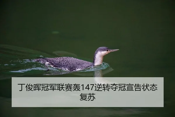 ding-jun-hui-guan-jun-lian-sai-hong-ni-zhuan-duo-guan-xuan-gao-zhuang-tai-fu-su-2-123.jpg