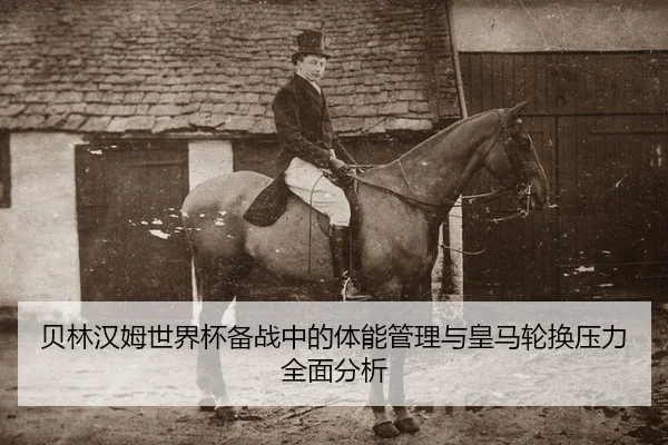 bei-lin-han-mu-shi-jie-bei-bei-zhan-zhong-de-ti-neng-guan-li-yu-huang-ma-lun-huan-ya-li-quan-mian-fen-xi-2-945.jpg
